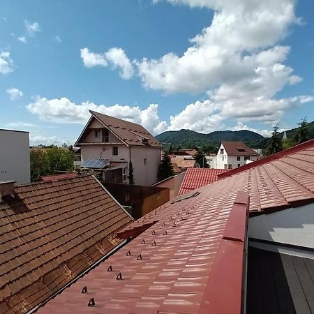 Old Town Studio 1 Apartment Nr 1 Nagybánya Kültér fotó