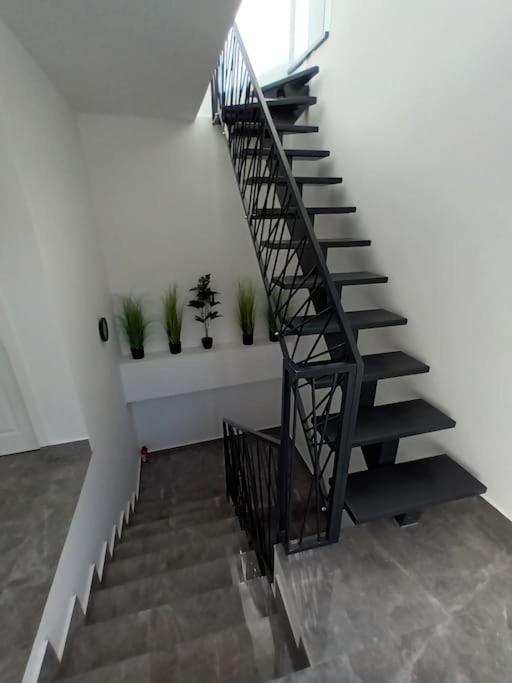 Old Town Studio 1 Apartment Nr 1 Nagybánya Kültér fotó