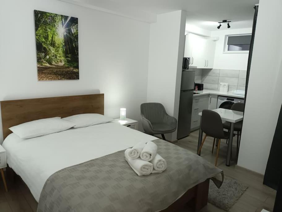 Old Town Studio 1 Apartment Nr 1 Nagybánya Kültér fotó