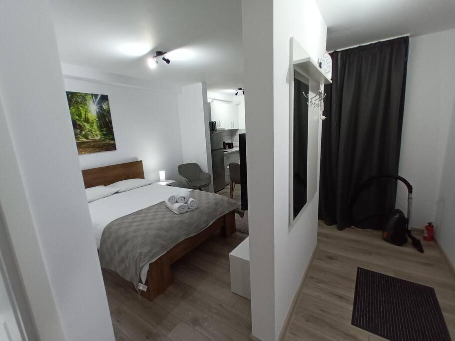 Old Town Studio 1 Apartment Nr 1 Nagybánya Kültér fotó