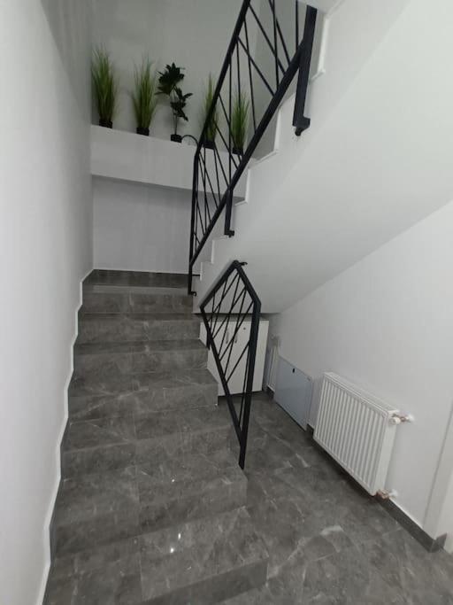 Old Town Studio 1 Apartment Nr 1 Nagybánya Kültér fotó
