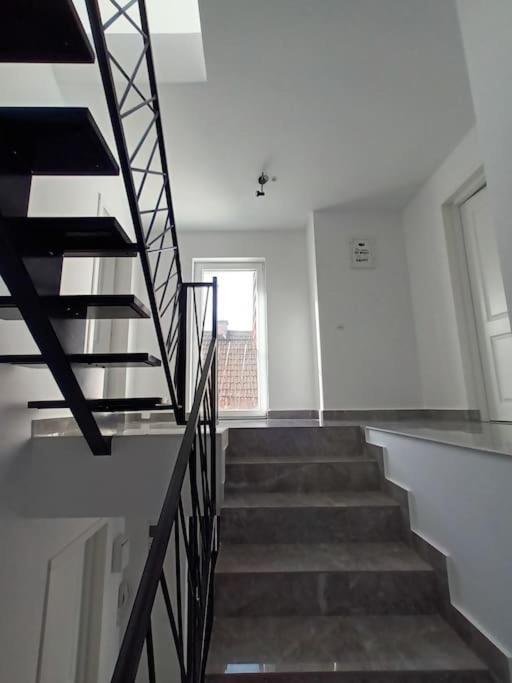 Old Town Studio 1 Apartment Nr 1 Nagybánya Kültér fotó