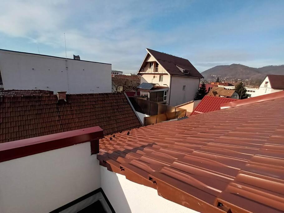 Old Town Studio 1 Apartment Nr 1 Nagybánya Kültér fotó