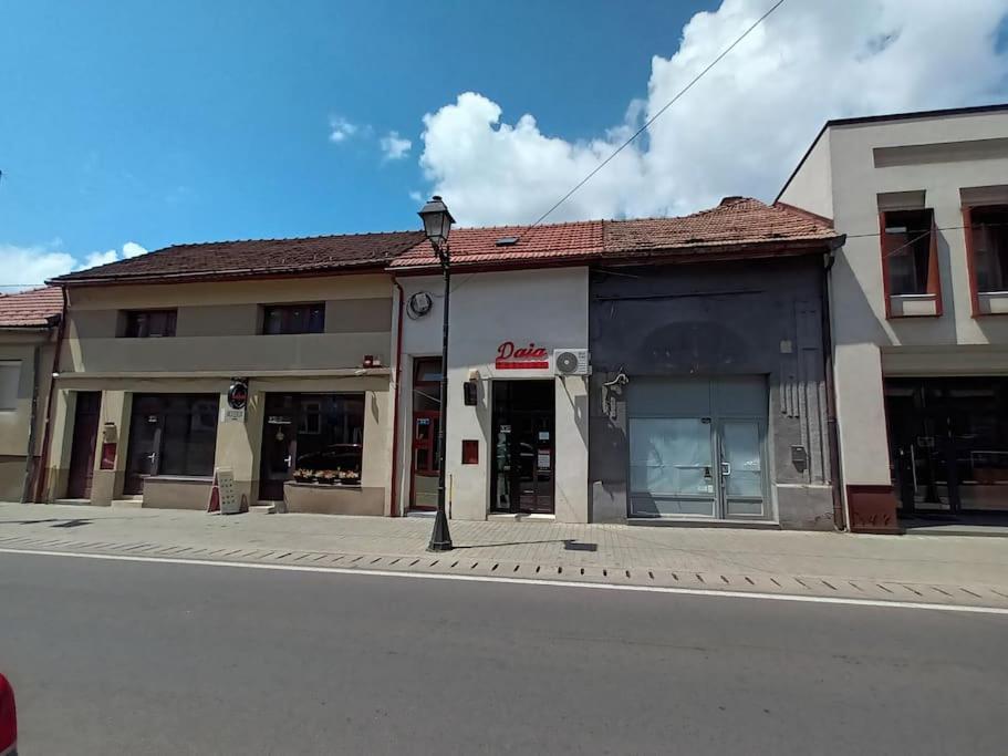 Old Town Studio 1 Apartment Nr 1 Nagybánya Kültér fotó