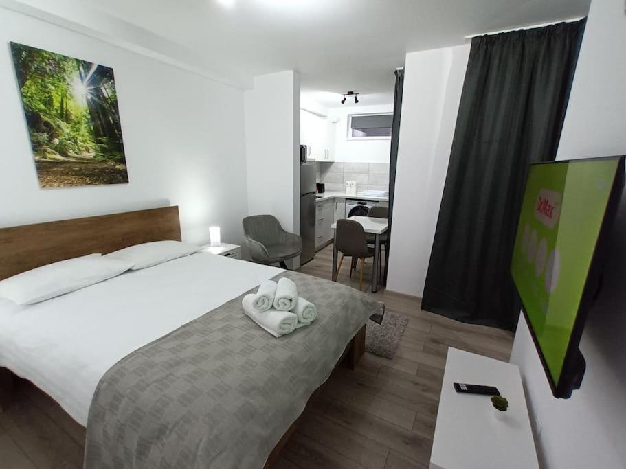 Old Town Studio 1 Apartment Nr 1 Nagybánya Kültér fotó